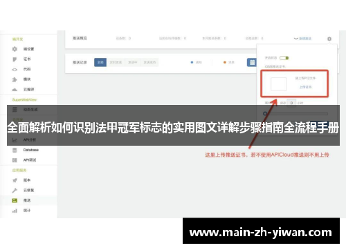 全面解析如何识别法甲冠军标志的实用图文详解步骤指南全流程手册