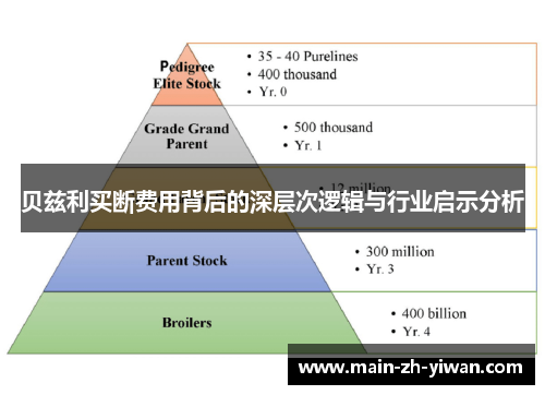 贝兹利买断费用背后的深层次逻辑与行业启示分析